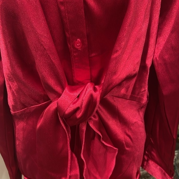 Morrisday the Label Dress L ruby red shiny button & tie front mini dress - Picture 2 of 8